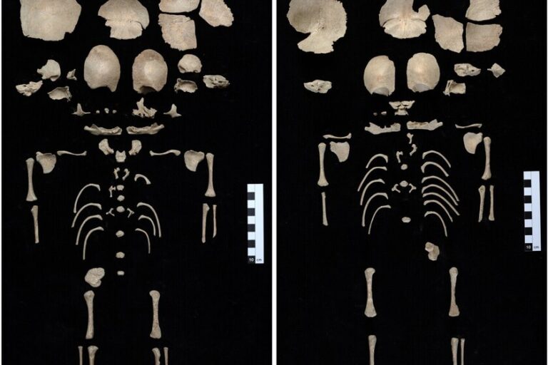 Hace 1.200 alguien decidió proteger a dos bebés gemelos escondiéndolos en un sitio inverosímil: unas letrinas al lado del Templo de Artemisa