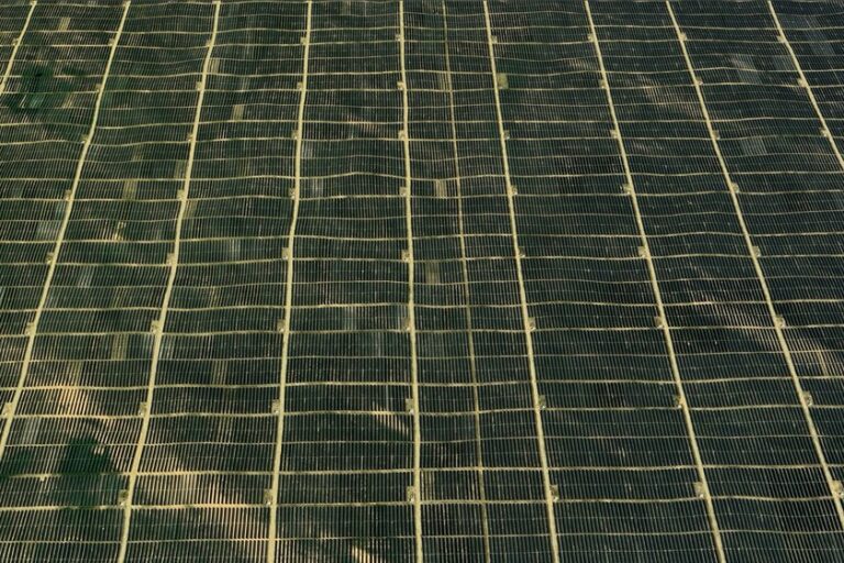 Una de las zonas más áridas de China está reverdeciendo. El motivo: un planta con siete millones de paneles solares