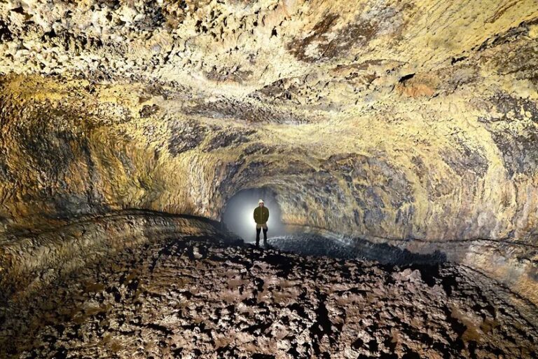 Bajo Tenerife hay un mundo que lleva 27.000 años aislado: dentro de esta cueva viven 190 especies